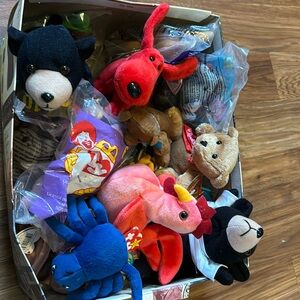 Beanie Babies, brand new with TY tags. Untouched.